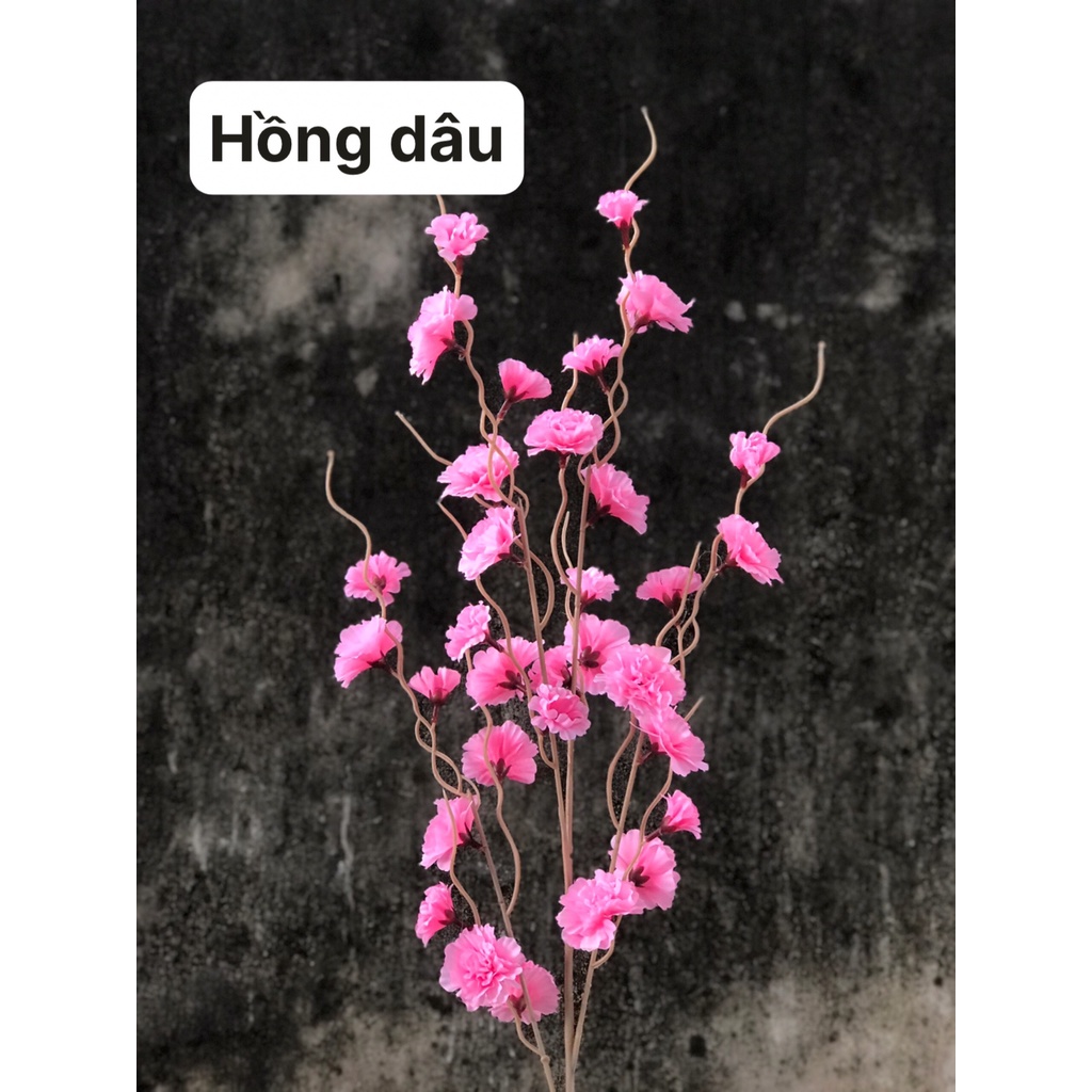 Anh Đào Râu  | Cụm Phăng Khô - Hoa Leo Giả Vải Lụa Cao Cấp Decor Trang Trí Nhà Cửa, Tết | Hà Hoa Flower