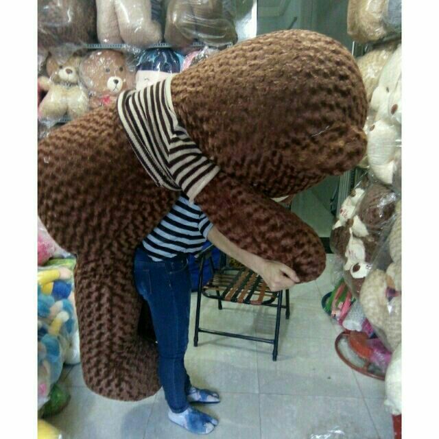 Teddy siêu bự khổ vải 2m4