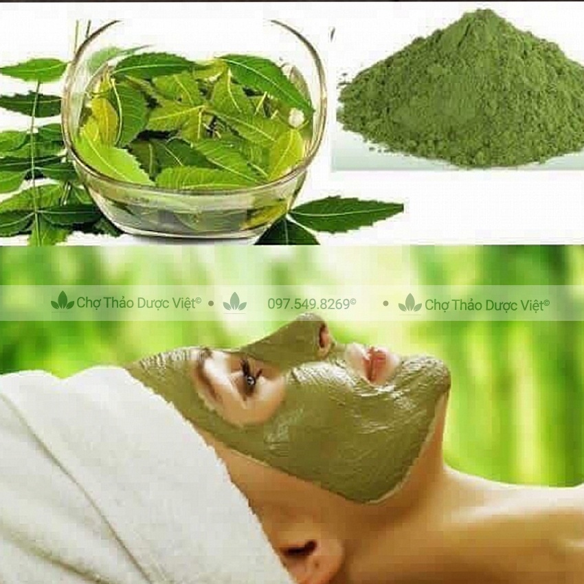 Bột lá neem nguyên chất 100g (Lá nem kháng khuẩn, ngừa mụn, giảm thâm nám) - Chợ Thảo Dược Việt