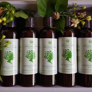 Dầu gội organic hair