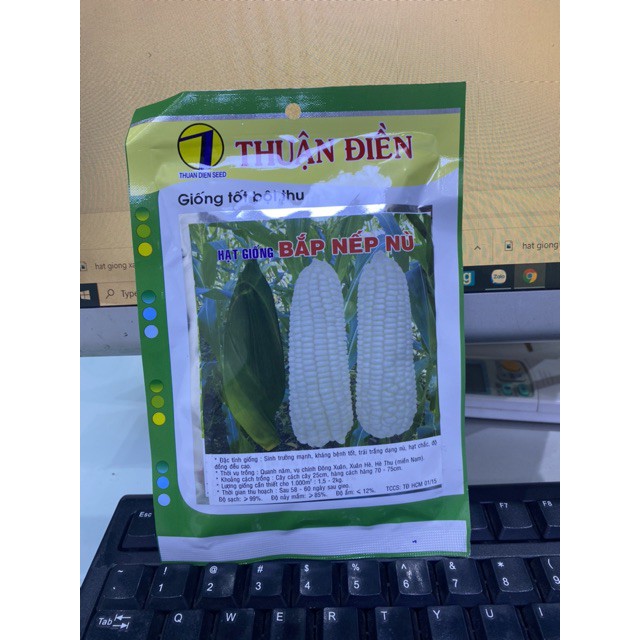Hạt giống bắp nếp nù gói 100g giá rẻ