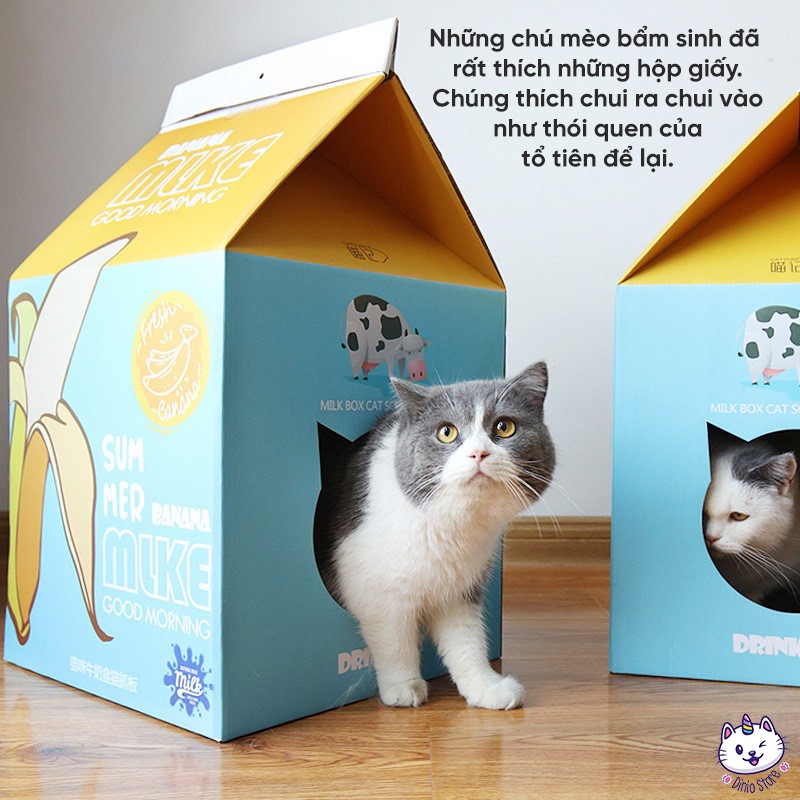 Hộp box nhà catton kèm bàn cào móng cho mèo, hình hộp sữa - Tặng kèm catnip