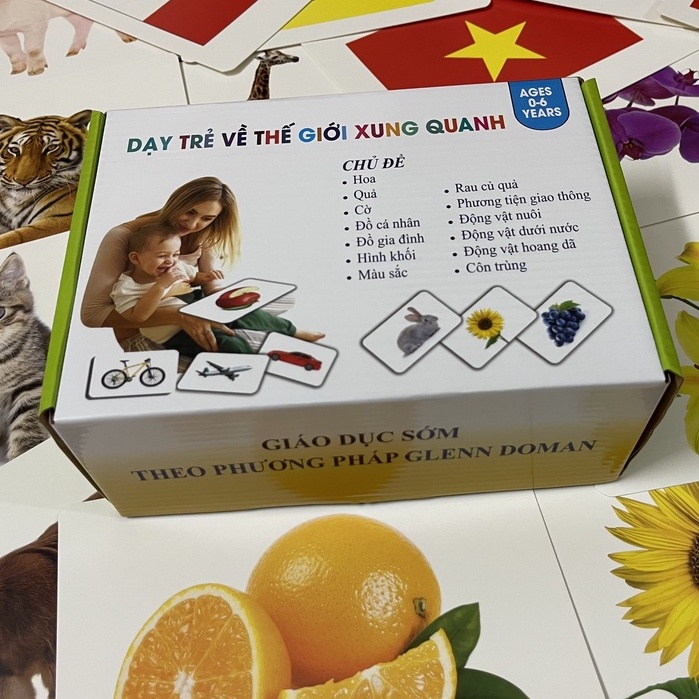 BỘ THẺ THẾ GIỚI XUNG QUANH 150 THẺ - DẠY BÉ BIẾT ĐỌC SỚM