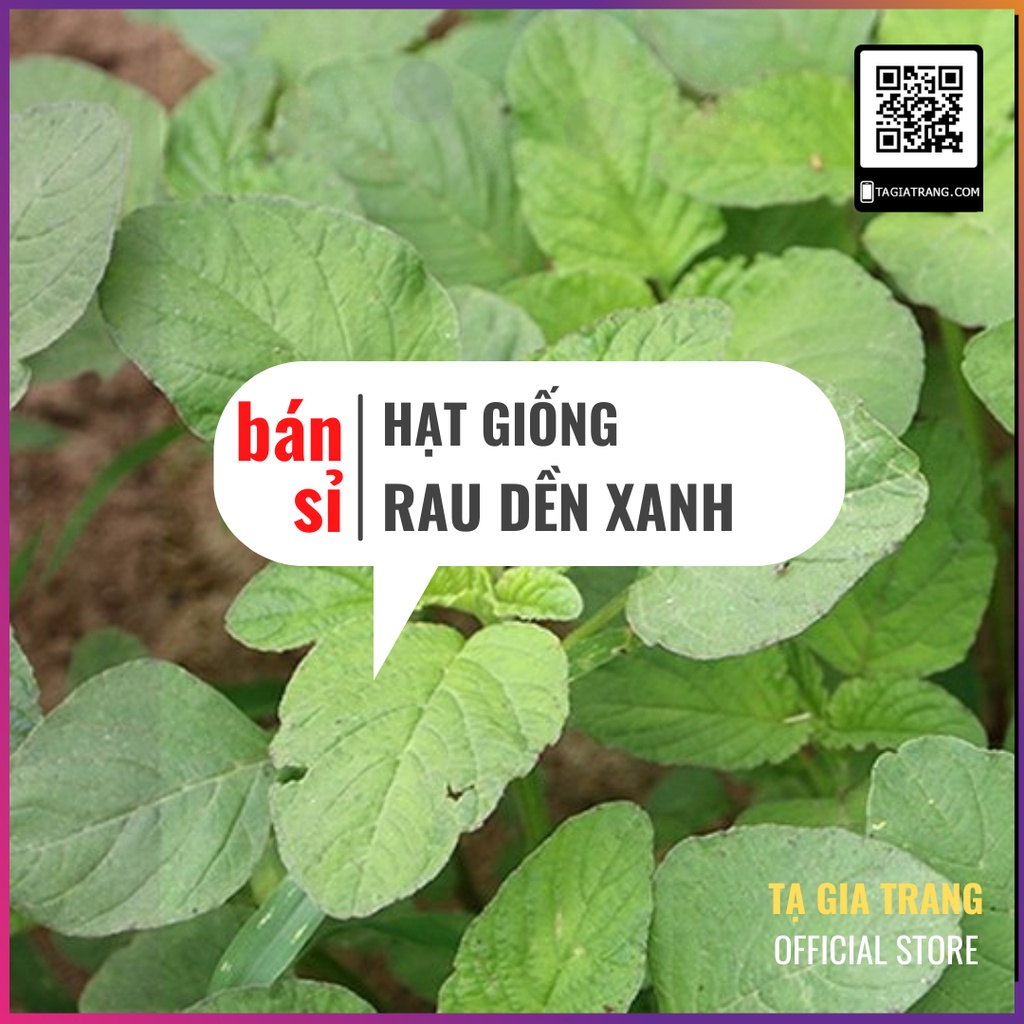 [Bán sỉ] - Hạt giống rau dền xanh lá tròn (lá hến)