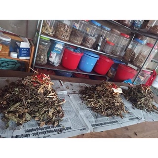 Đông y gia truyền