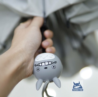 Ô dù totoro