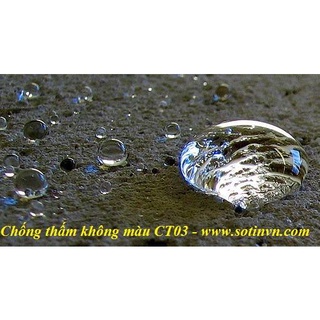 Chất chống thấm không màu Sotin CT03 1 lít