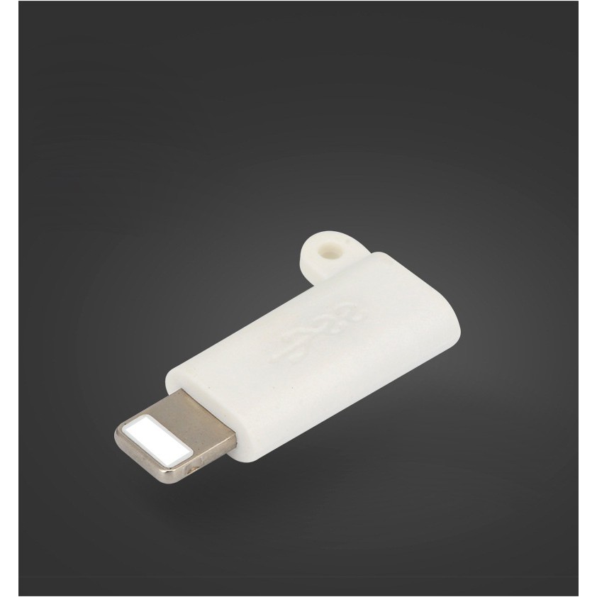 Đầu chuyển đổi hình móc khóa từ USB-C sang Iphone