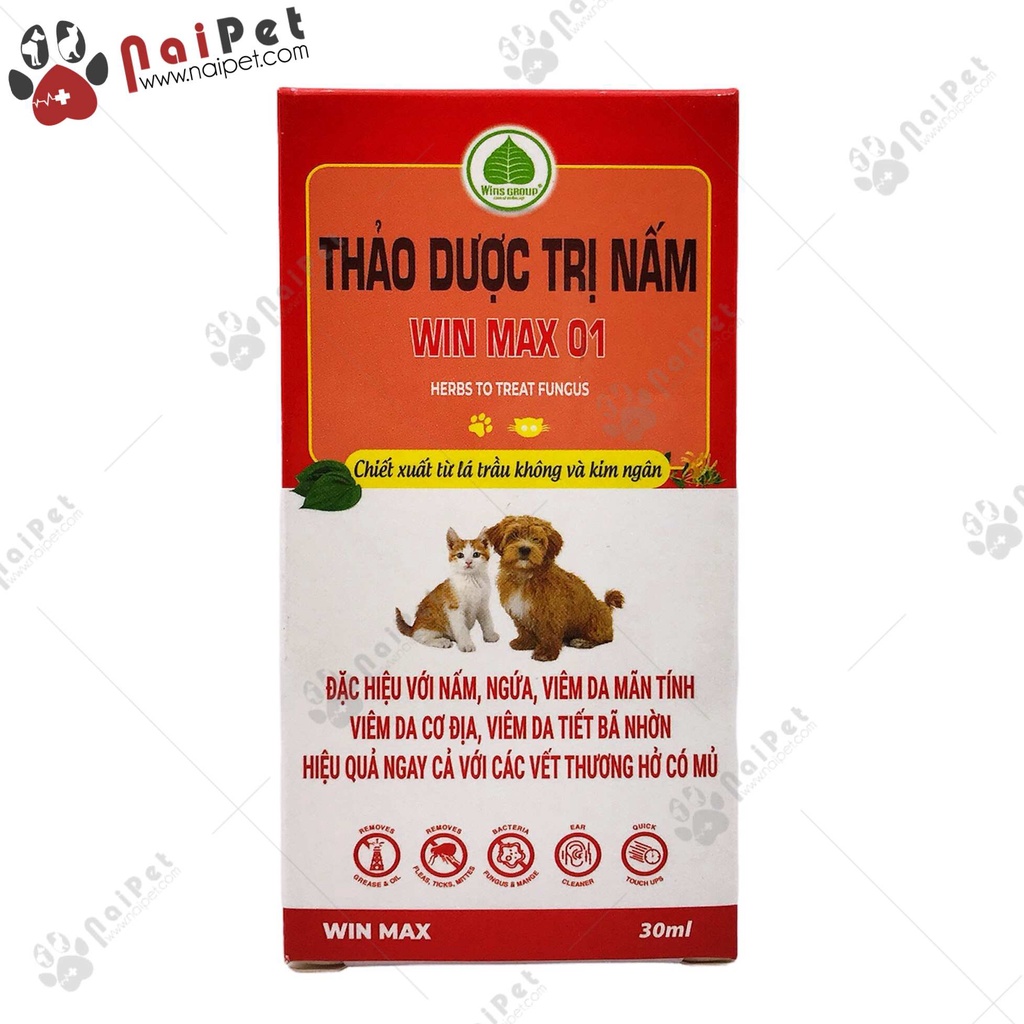 Dung Dịch Trị Nấm Thảo Dược Dạng Xịt Win Max 01 Wins Group 30ml