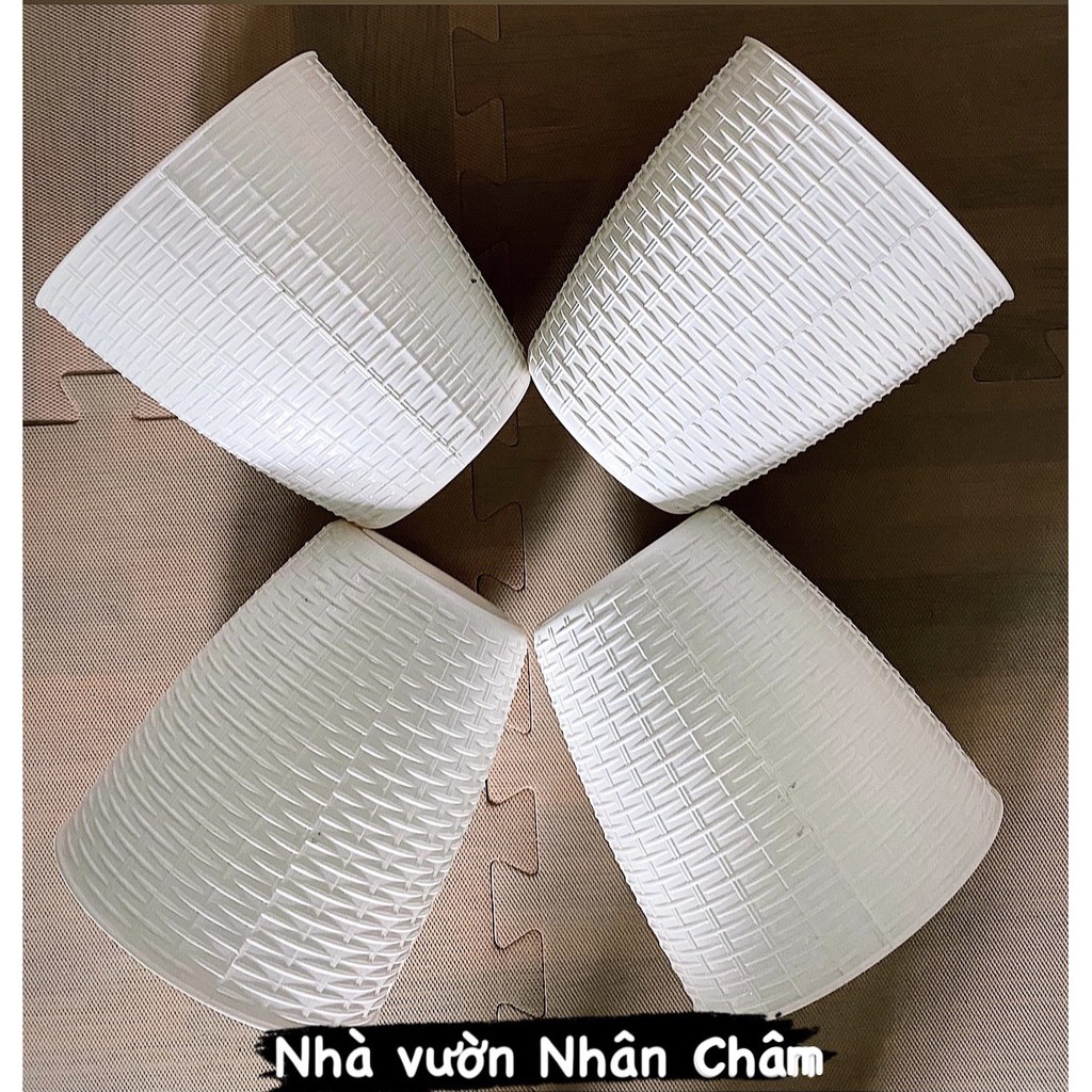 Chậu nhựa mây tre đan dùng để trồng cây,trang trí nhà cửa