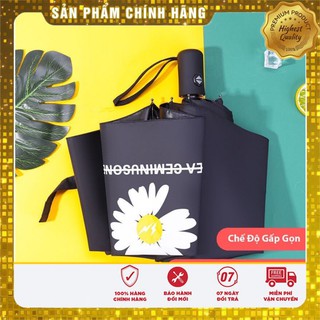 ❄Ô DÙ HOA CÚC HÀN QUỐC ❤️ DÙ CÚC HỌA MI❤️