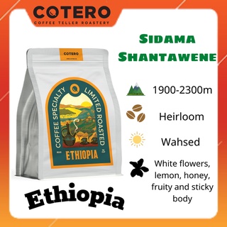 Ethiopia Sidama Shantawene Washed...COTERO Coffee, Heirloom, Drip, Coldbrew, Espresso...
