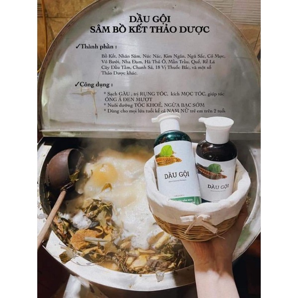 Dầu Gội Xả Thiên Nhiên Sạch Gàu, Mọc Tóc, Ngăn Rụng, Phục Hồi Tóc Khô Sơ Hư Tổn.