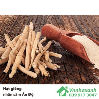 Hạt Giống Nhân Sâm - Ấn Độ Ashwagandha (Withania somnifera)