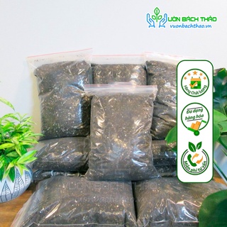 Đất trồng chuyên cây kiểng lá - kiểng var & cây xanh trong nhà | vườn bách thảo