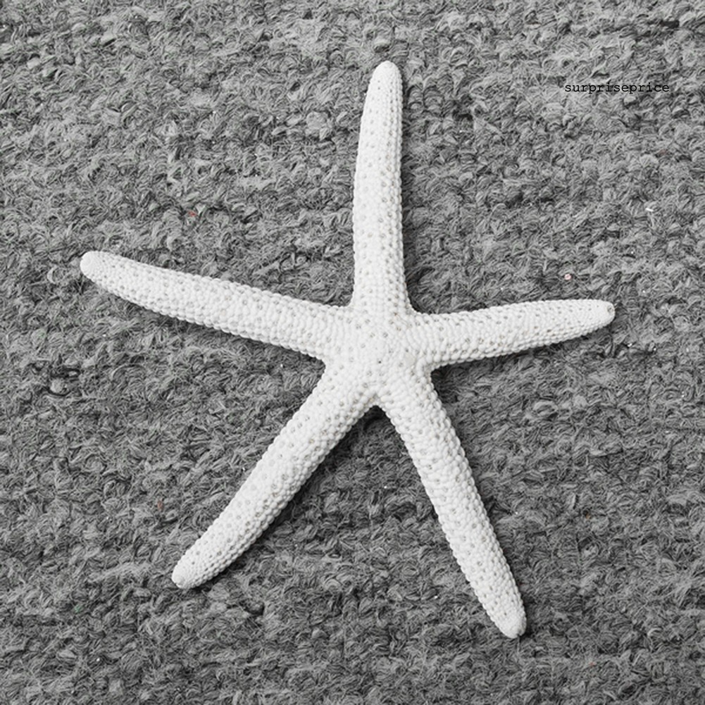 Sao Biển Nhân Tạo Bằng Nhựa Thân Thiện Với Môi Trường