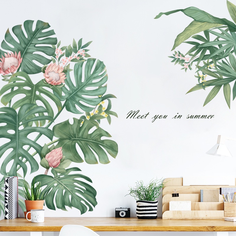 Decal dán tường tranh dán tường hình cây trầu bà Monstera trang trí nhà cửa