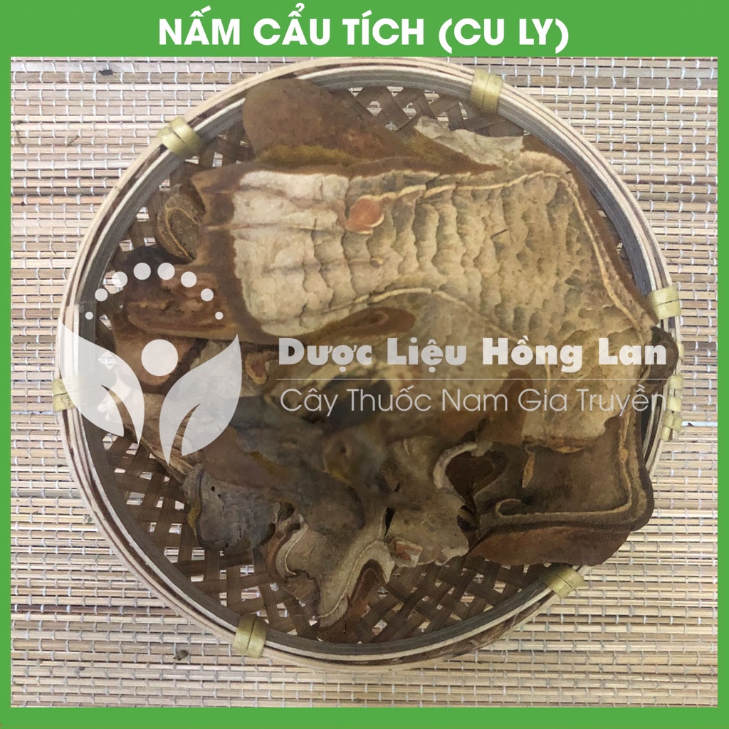 CẨU TÍCH (CÂY LÔNG CULI) khô đóng gói 1kg - congtyduoclieuhonglan