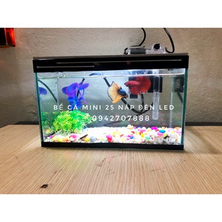 🐬Bộ bể cá mini 25cm nắp đèn led và lọc thác ( tặng kèm sỏi, vỏ sò biển, cây trang trí, thức ăn cá cảnh)