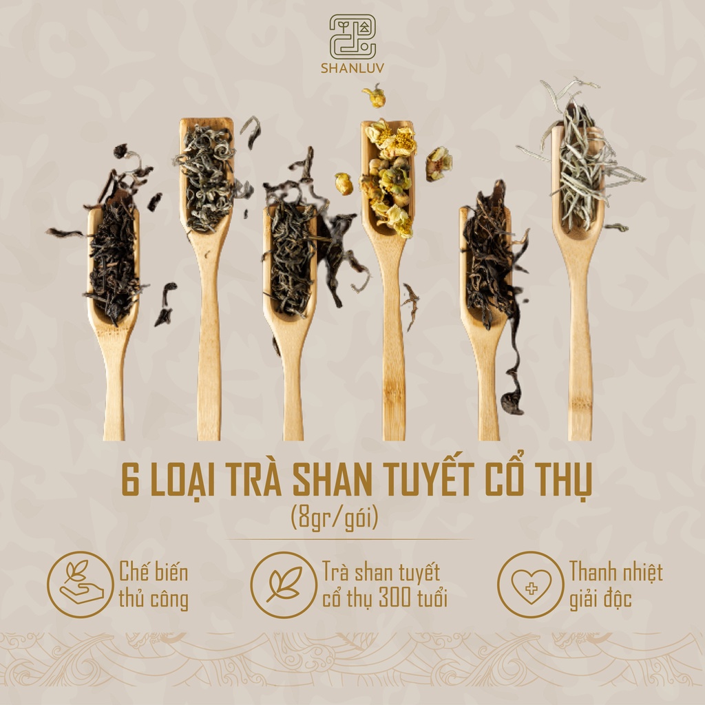 Trà Shan Tuyết Cổ Thụ Cây 300 Tuổi Hà Giang 10 loại SHANLUV Thơm Mật Hậu Ngọt, Bền Nước 8gr | BigBuy360 - bigbuy360.vn