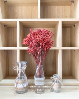lọ và hoa decor
