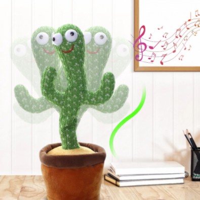 Xương rồng nhảy múa