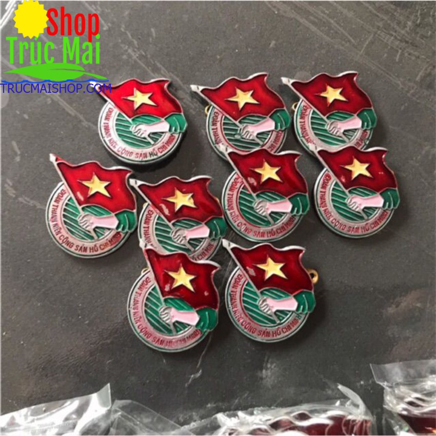 Huy Hiệu Đoàn Việt Nam