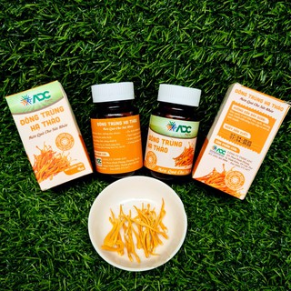 Đông Trùng Hạ Thảo Khô 100% Nguyên Chất của Công ty ADC