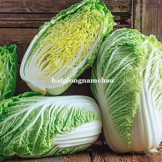 0,5GR - HẠT GIỐNG CẢI THẢO