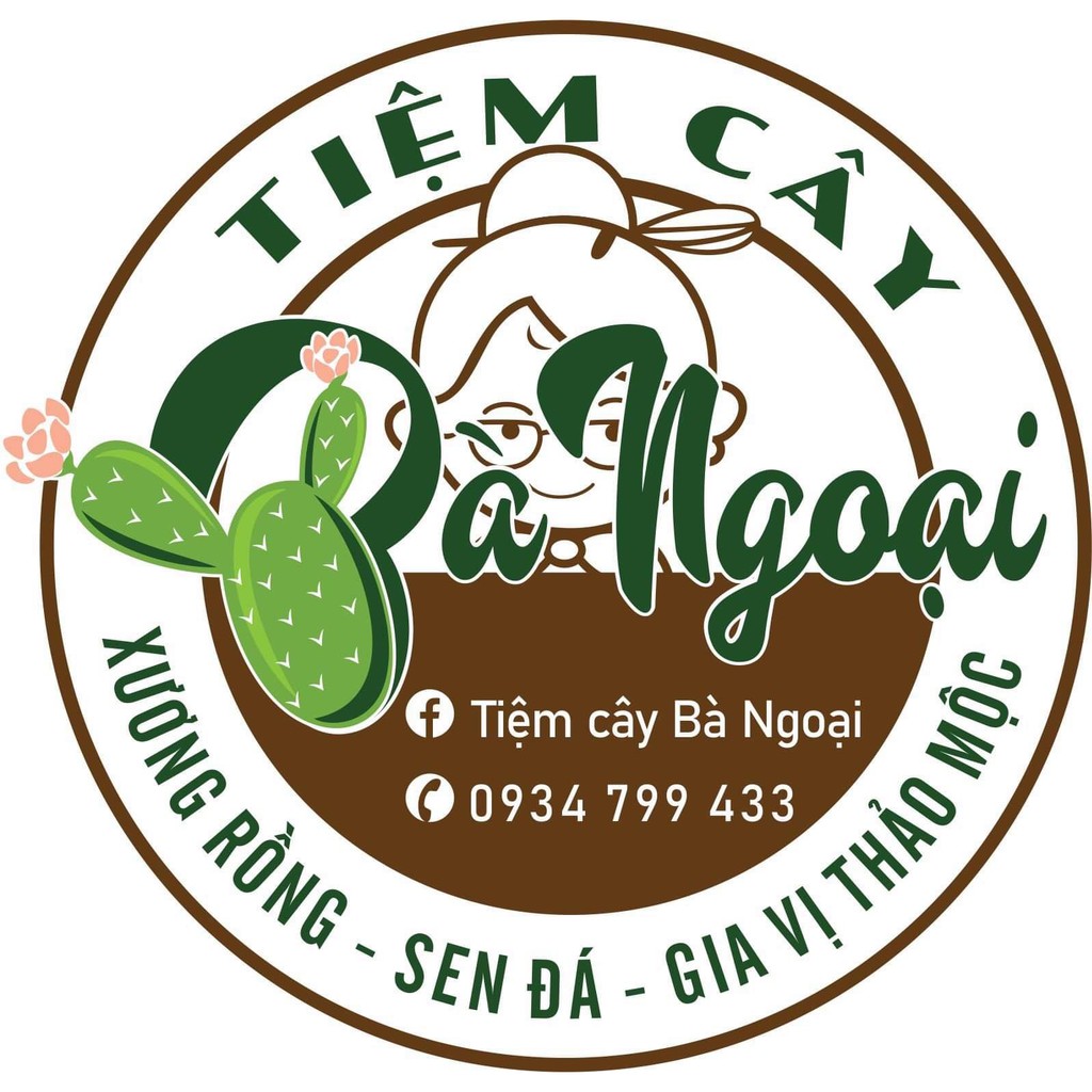 Đá soil mix, sơ dừa, đá .......