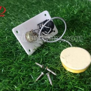 Mobin đàn nguyệt. Đàn sến