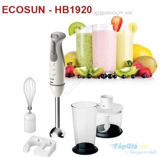 Máy xay cầm tay Ecosun 1920