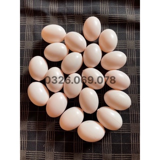 Trứng chim bồ câu giả- trứng nước loại hồng