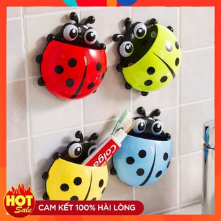 Sỉ 2 Con Bọ Rùa Hút Chân Không Cắm Bàn Chải Nhà Tắm