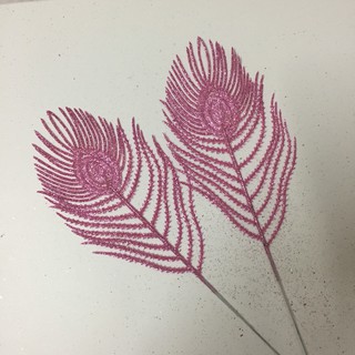 CÀNH ĐUÔI CÔNG DÙNG TRANG TRÍ LÀM OẢN