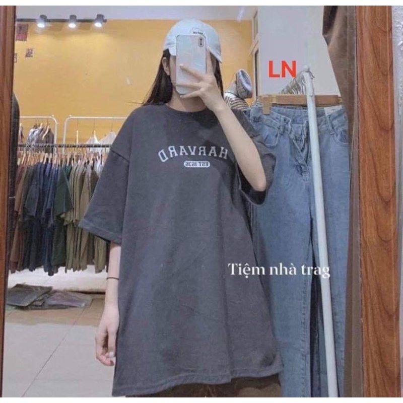 Áo phông Harvard DA6