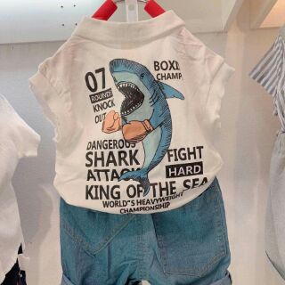 Sét áo phông cá mập quần jeans bé trai