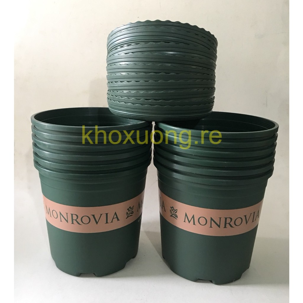 10 Bộ Số 2 Chậu Nhựa Gallon, Chậu Nhập Khẩu MonRovia (2Gallon= 22.5x21cm)