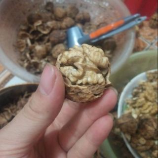 Combo óc chó nếp vs óc chó đỏ