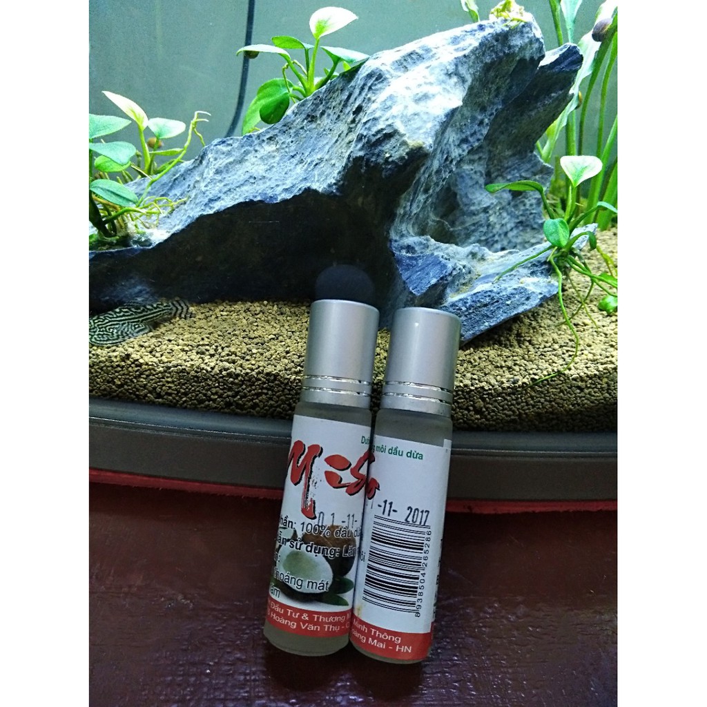 LĂN MÔI DẦU DỪA