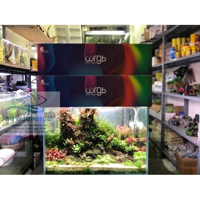 ĐÈN CHIHIROS WRGB2 45CM