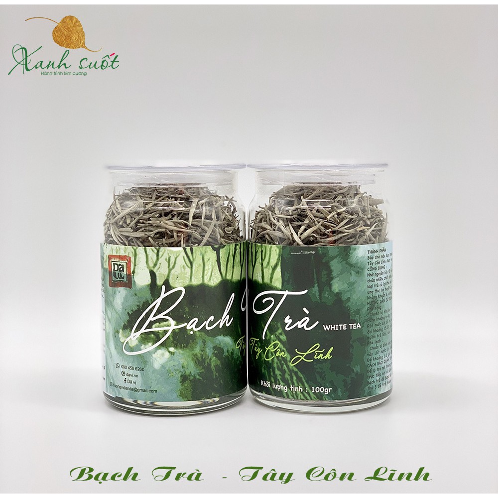 [Dã Vị] Bạch Trà Tây Côn Lĩnh- White Tea- Trà Trắng Cổ Thụ Hà Giang [Xanh Suốt]