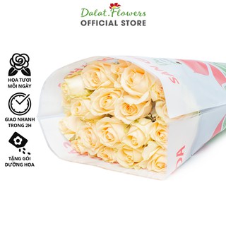 Hoa Hồng Trứng gà, Hoa tươi Đà Lạt cắm trang trí nhà cửa, văn phòng