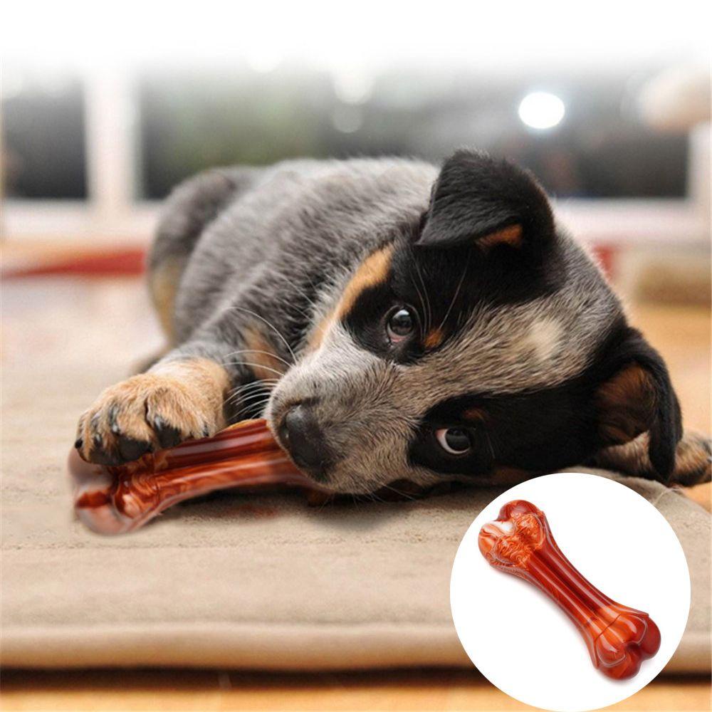 LAYOR1 Đồ Chơi Làm Sạch Răng Chống Cắn Hương Vị Ong Cho Thú Cưng