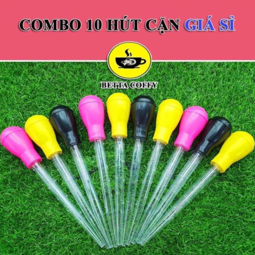 Trang Trí Hồ BETTA 39K