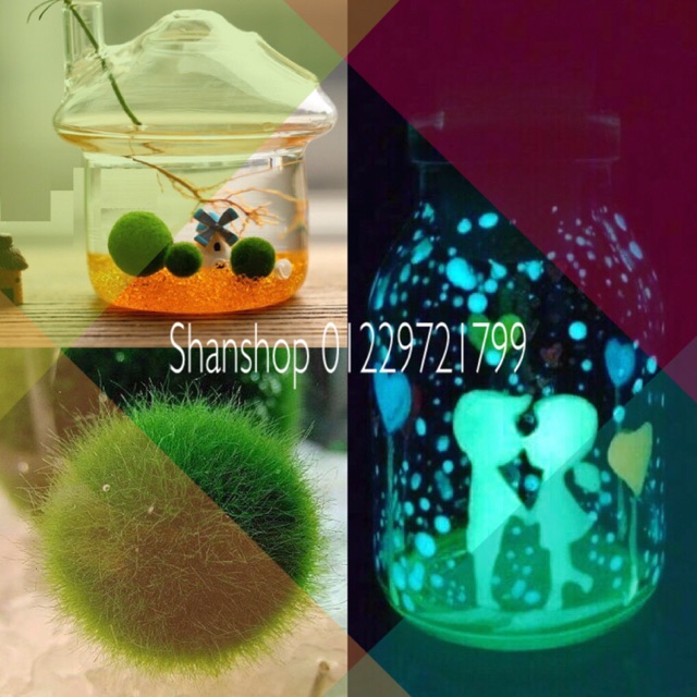 Combo lọ tt dạ quang + tảo Marimo