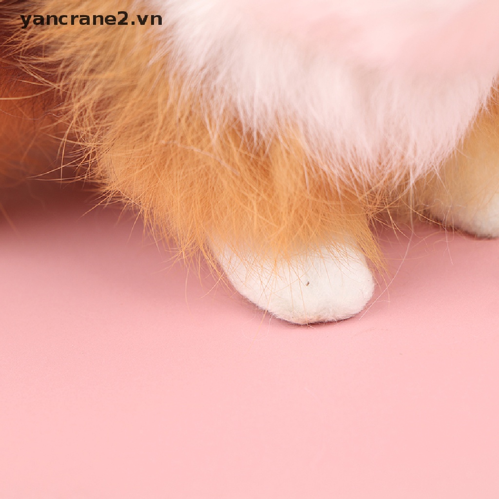 Thú Nhồi Bông Nhung Dễ Thương