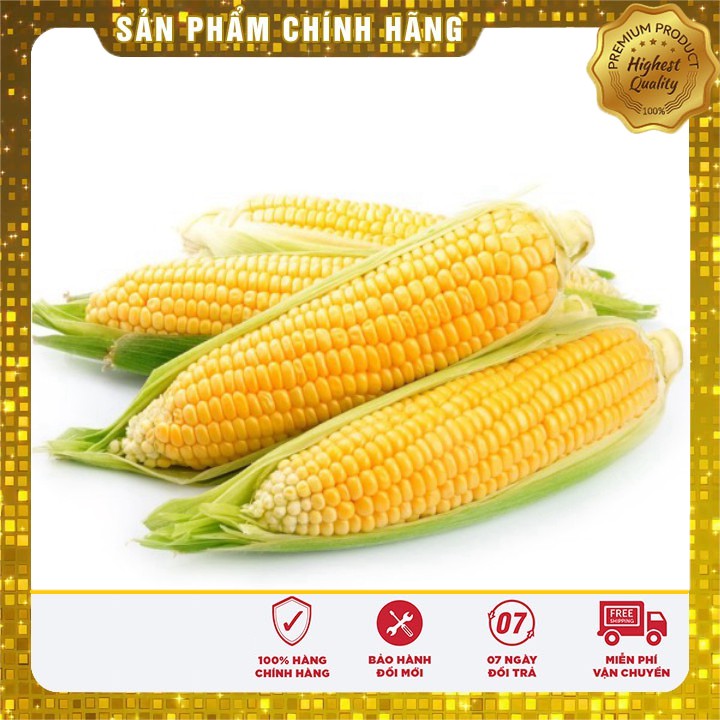 Hạt giống ngô ngọt vàng thơm ngọt-5 gr