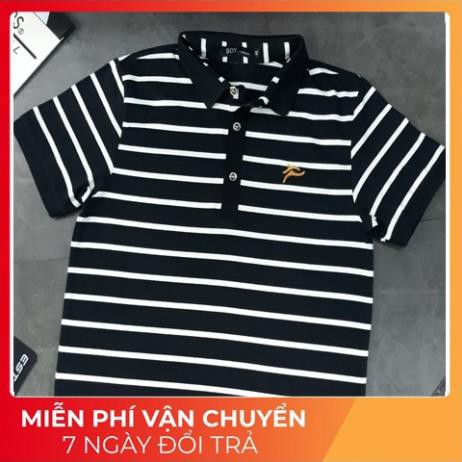 [FreeShip – Xả kho cắt lỗ] Áo Thun Nam Có Cổ 100% Cotton Kẻ Sọc Cao Cấp Form SLim Fit Xịn ˇ