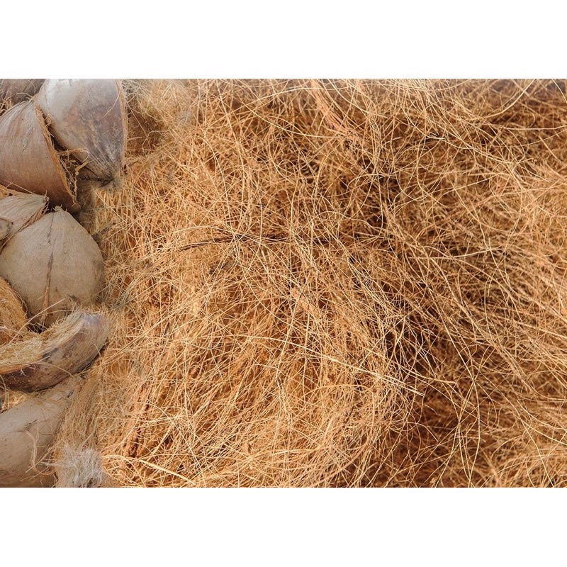 100g Xơ Dừa Dạng Sợi- Chỉ